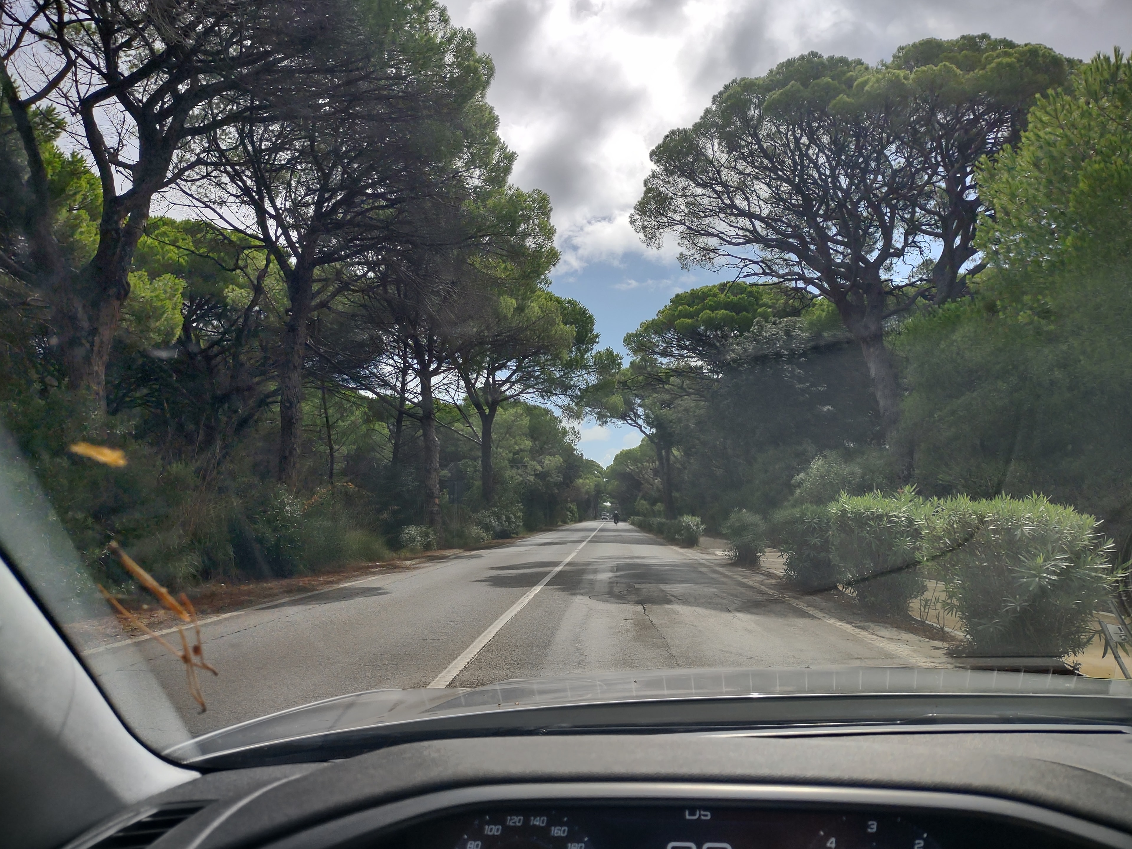 Open road journey — the story behind Rhythm Autosport